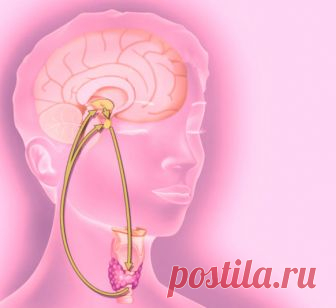 Как определить, какого гормона не хватает в организме?  Как же определить, какого гормона не хватает в организме? Самый точный ответ можно получить, сдав анализ крови на гормоны. Но есть еще косвенные факторы, которые могут вам подсказать, дефицит какого гормона испытывает ваш организм в данный момент.