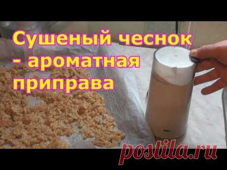 Чеснок круглый год. Заготовка сушеного чеснока.