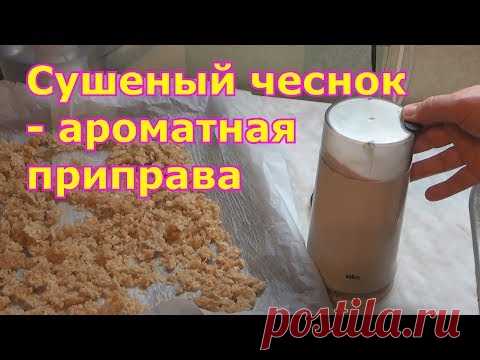 Чеснок круглый год. Заготовка сушеного чеснока.