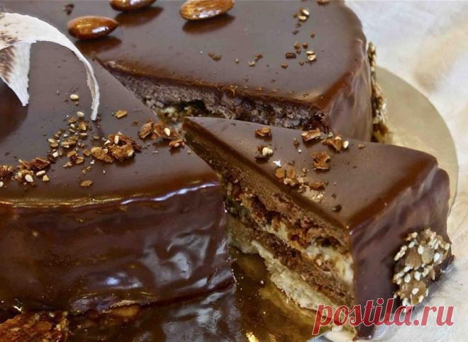 Торт Мишка на севере пошаговый рецепт с фото - Дом Десертов