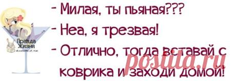 Позитивные фразочки в прикольных картинках. Всем отличного настроения!