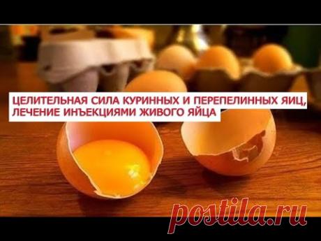 Целительная сила куринных и перепелинных яиц, лечение инъекциями живого яйца