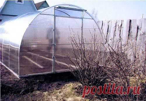 Теплица «Уралочка» - эталон надежности и мощи