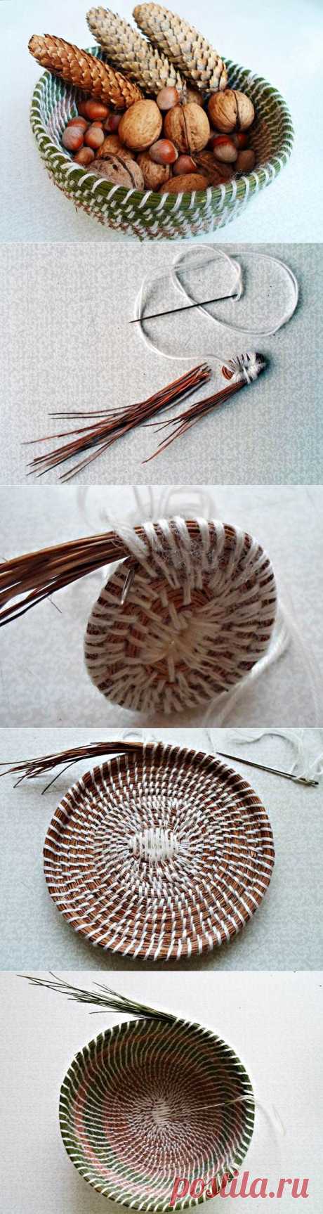 Как сделать корзинку из хвои