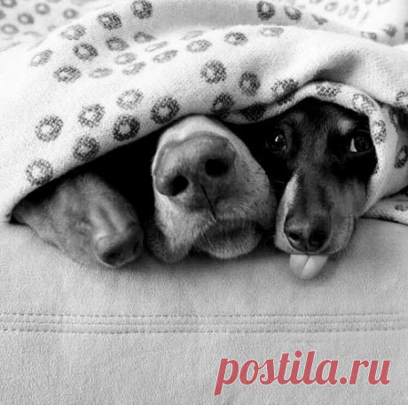 Мой Мир@Mail.Ru