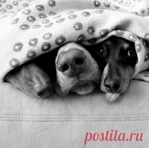 Мой Мир@Mail.Ru