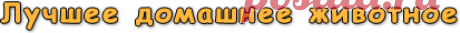 Ну как их не любить!!!!