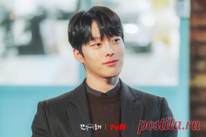 Дорама «Мой сосед кумихо» / «Пугающее сожительство» (2021) | Бес в ребро (южнокорейское кино) | Дзен