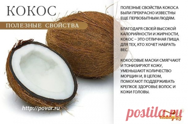 Кокос полезные свойства
