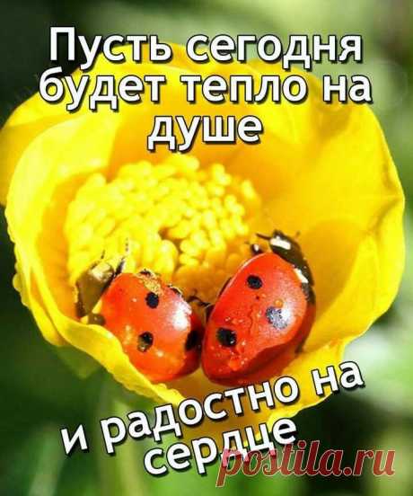 067c9efd7ebb34bf19f947b635d0c9a1.jpg (720×864)
