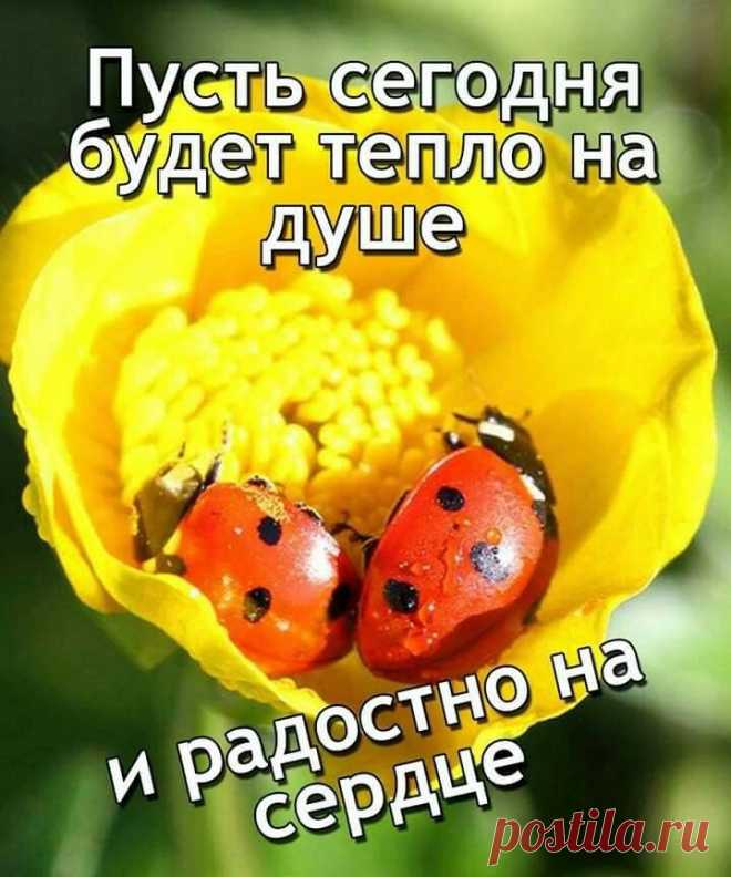067c9efd7ebb34bf19f947b635d0c9a1.jpg (720×864)