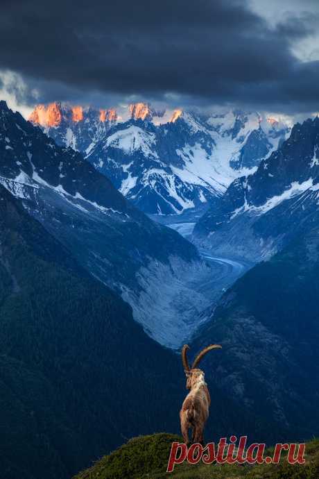 ponderation: The Boss by Sven Broeckx - Pomp&Circumstance