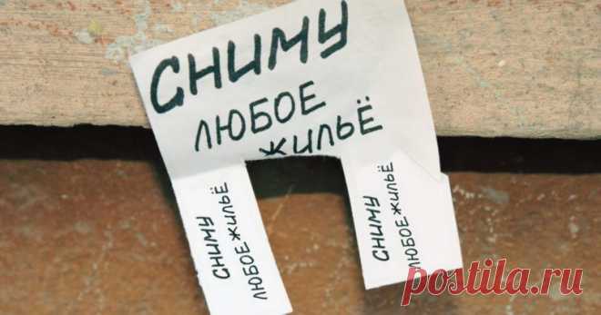 Две стороны одной медали. Сдать квартиру и снять. Тонкости и нюансы. Часть 1 Доброго времени суток! Уважаемые читатели и подписчики!Кто не подписался,обязательно подписываемся! Вам будет интересно !Я обещаю!Сегодня ...
