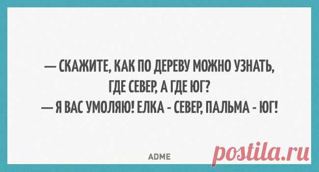 Как по дереву узнать, где север, а где юг?
