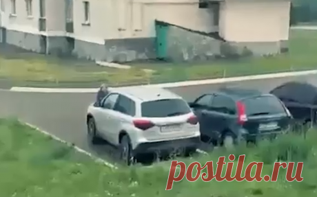 В Башкирии пенсионерка клюкой разбила восемь автомобилей. В городе Туймазы в Башкирии пенсионерка клюкой разбила лобовые стекла восьми припаркованным автомобилям, сообщили РБК в пресс-службе МВД республики.
