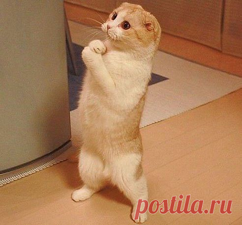 ❤ღツ СТАТУСЫ,СТИХИ,ПРИТЧИ,МУДРЫЕ ВЫСКАЗЫВАНИЯ.❤ღツ