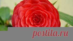 Постоянно возвращаясь к прошлому, мы закрываем дверь от будущего... Разве оно того стоит?