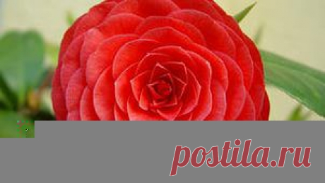 Постоянно возвращаясь к прошлому, мы закрываем дверь от будущего... Разве оно того стоит?