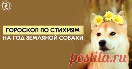 ГОРОСКОП ПО СТИХИЯМ НА ГОД ЗЕМЛЯНОЙ СОБАКИ Эзотерика, самопознание, путь к себе, духовные практики, духовное развитие