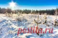 21 декабря отмечается 