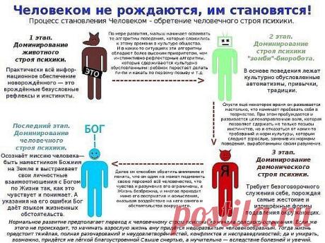 Человеком не рождаются им становятся.