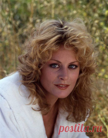 Беверли Д’Анджело, 15 ноября, 1951