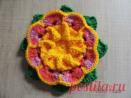 FLOR MALVA-ROSA