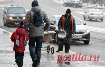 В России могут ввести стандарт безопасных для животных зимних реагентов. По мнению авторов запроса, это также позволит снизить химическую нагрузку на городскую среду