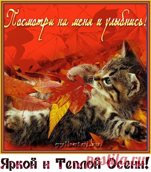 Плейкаст ««㋡ ♪♪♪ ТЕПЛА И УЮТА ВАШЕМУ ДОМУ ! ПУСТЬ ОСЕНЬ БУДЕТ ЯРКОЙ И ТЁПЛОЙ !♪♪♪㋡»»