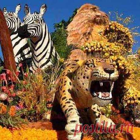 Aalsmeer Flower Parade: километры цветов и миллион живых растений