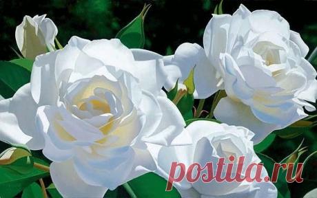 Мой Мир@Mail.Ru