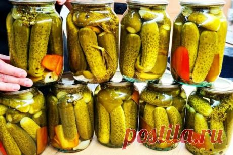 Хрустят без хрена. Огурцы на зиму в банках закрываю только так: другие варианты не признаю.
#заготовки  

 Ингредиенты:

Для приготовления 1 л банки вам потребуются такие ингредиенты:
огурцы, 12 шт;
болгарский перец, четверть;
укроп зонтик, лавровый лист по 1 шт;
чеснок 2 зуб.;
уксус 9 %, 25 мл;
соль,0.5 ст.л;
сахар, 1 ст.л;
перец душистый и горошек;
кипяток, около 2.5 стакана.

Процесс приготовления

Огурцы моем и если они вялые, заливаем холодной и чистой водой на пару ч...