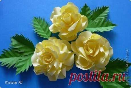 Объемные розы из бумаги — Поделки с детьми
