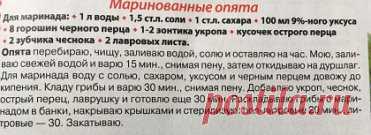 Заготовки на зиму. Маринованные опята.