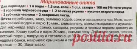 Заготовки на зиму. Маринованные опята.