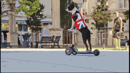 Прикольные гифки (31.07.22) - Нет скуки.ру. Юмор, приколы, смешные картинки и разные интересности..