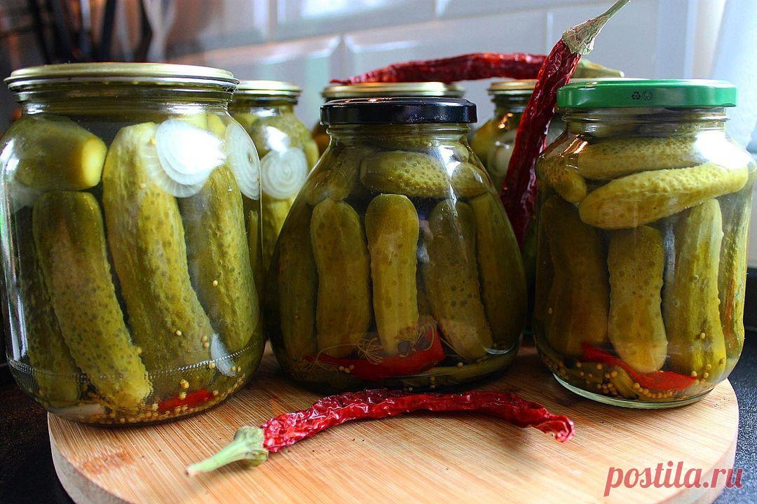 хрустящие огурчики на зиму