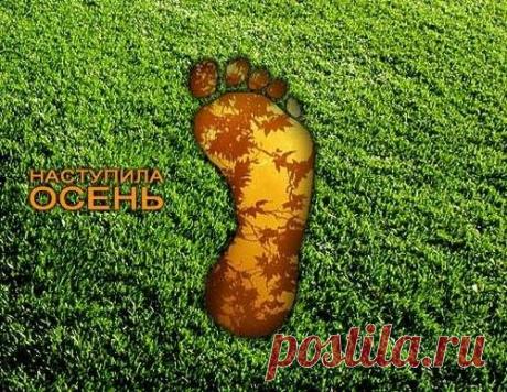 (4) СМЕХОТЕРАПИЯ !!!