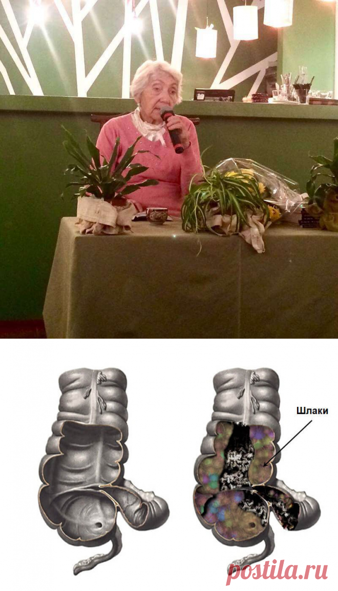 Марва Оганян: смерть идет из кишечника | В темпі життя