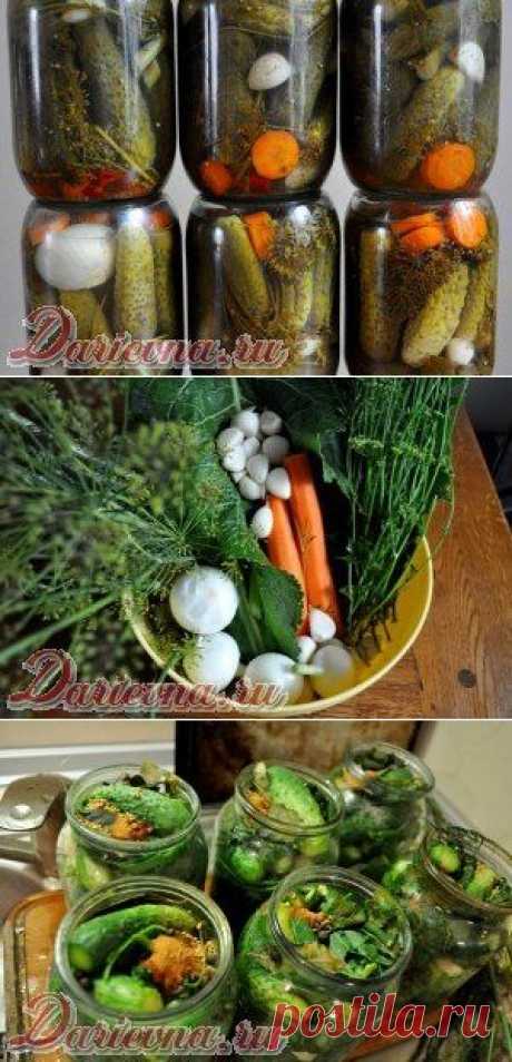 ОГУРЦЫ ПО-БЕРДЫЧЕВСКИ - ОЧЕНЬ АРОМАТНЫЕ И ОЧЕНЬ КРАСИВЫЕ!