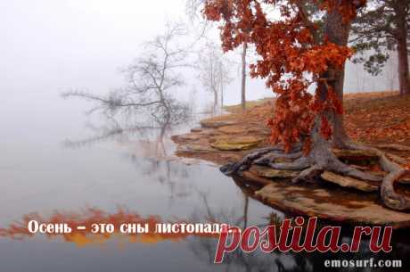 Красивые строки об осени