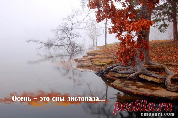 Красивые строки об осени