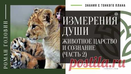 ИЗМЕРЕНИЯ ДУШИ. Животное царство и Сознание (ЧАСТЬ 2)
https://youtu.be/oEhrwiQLm7k
Распространяйте репостами
#сознание #царствоживотных #развитиеизмерения #измерения #знаниястонкогоплана