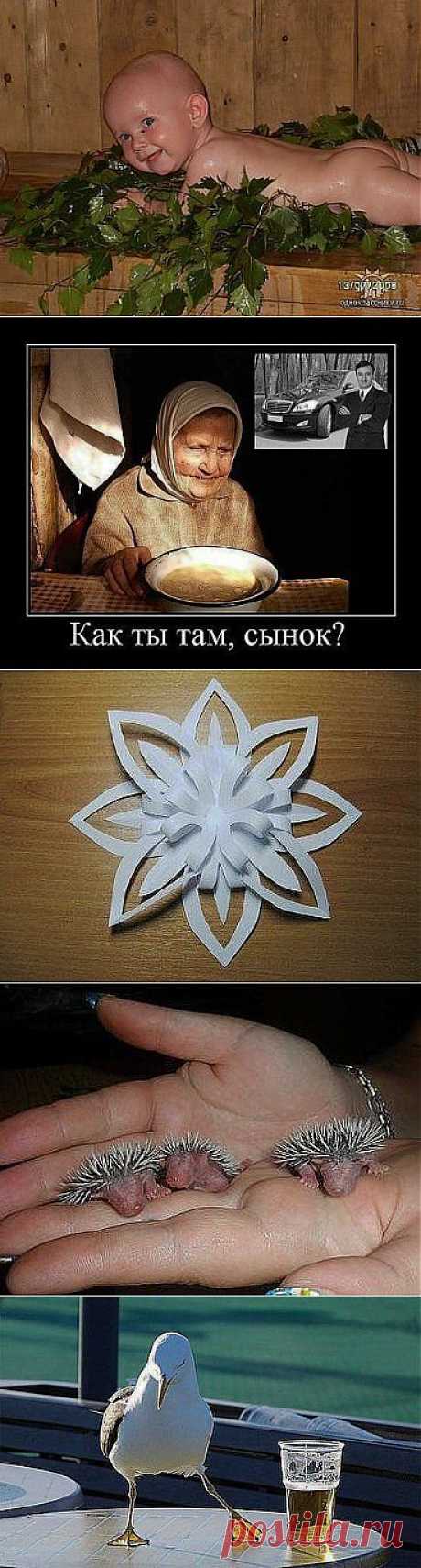 Одноклассники