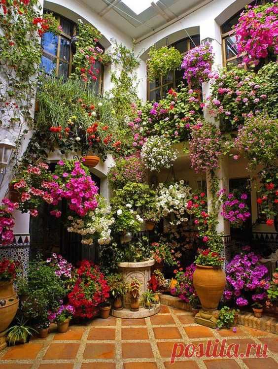 Висячие сады или сад в горшке — очаровательные идеи для участка - Идеальная хозяйка
