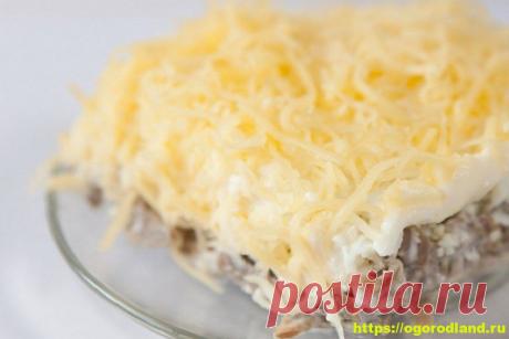 Салат с курицей и грибами в сливочном соусе