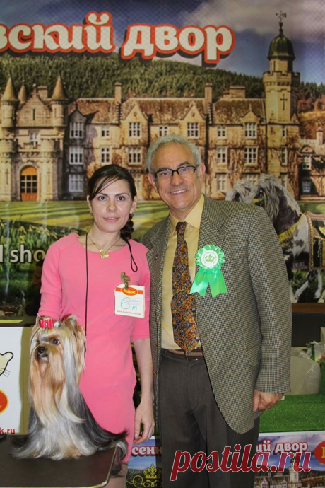 CAC CW ЛК ЛПП!!! Интерэкспер. Хендлер, грумер Кузнецова Ирина