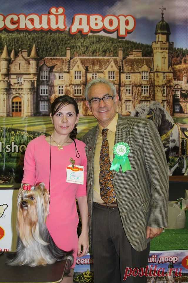 CAC CW ЛК ЛПП!!! Интерэкспер. Хендлер, грумер Кузнецова Ирина