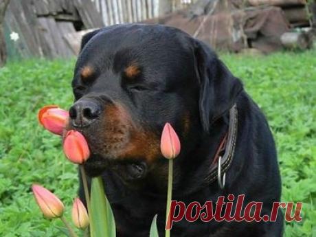 (5) Facebook