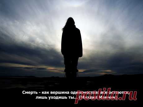 Афоризмы в картинках | Авторские Афоризмы | Яндекс Дзен